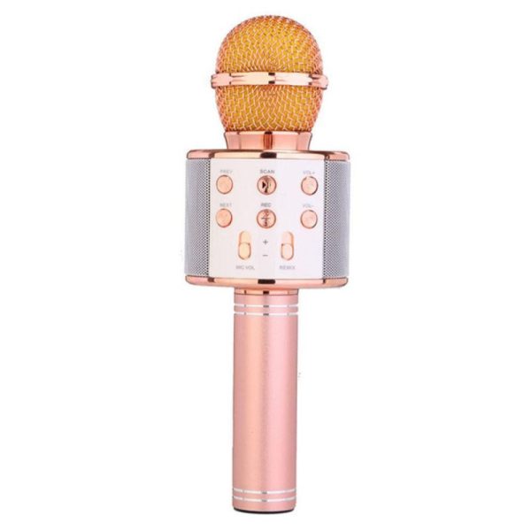 میکروفون اسپیکر مدل WS-858 - تصویر 3