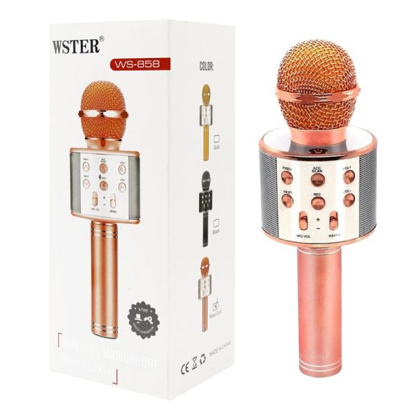 میکروفون اسپیکر مدل WS-858